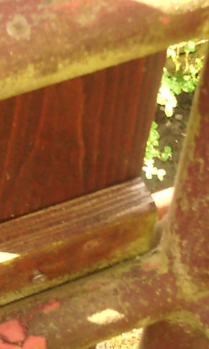 Balkon Spinnweben Hotel Lamm