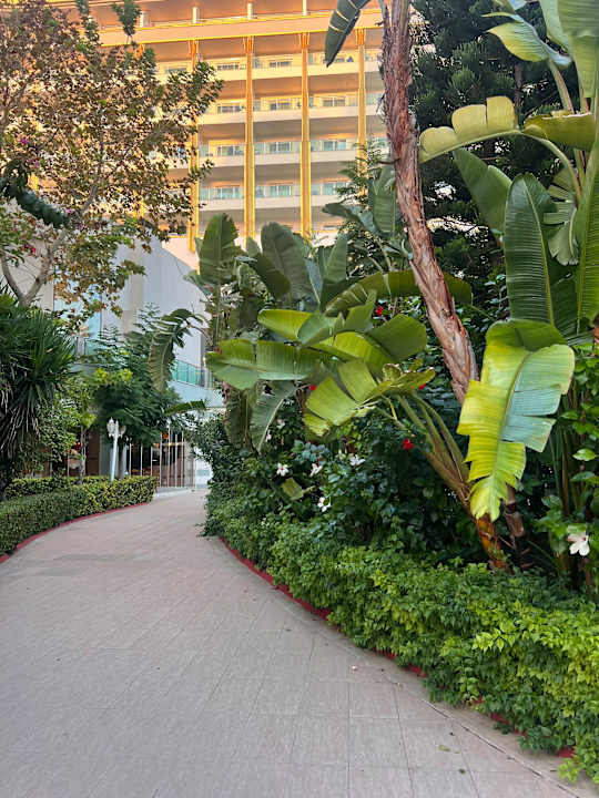 Gartenanlage Hotel Delphin Imperial