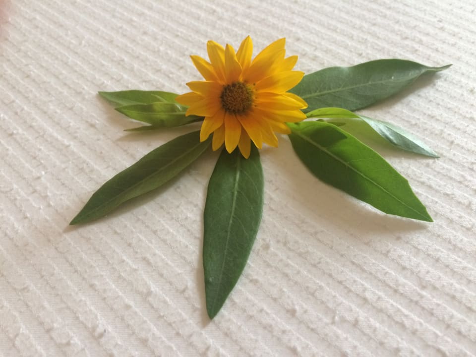 Zimmer Shams Prestige Abu Soma-Adults Only