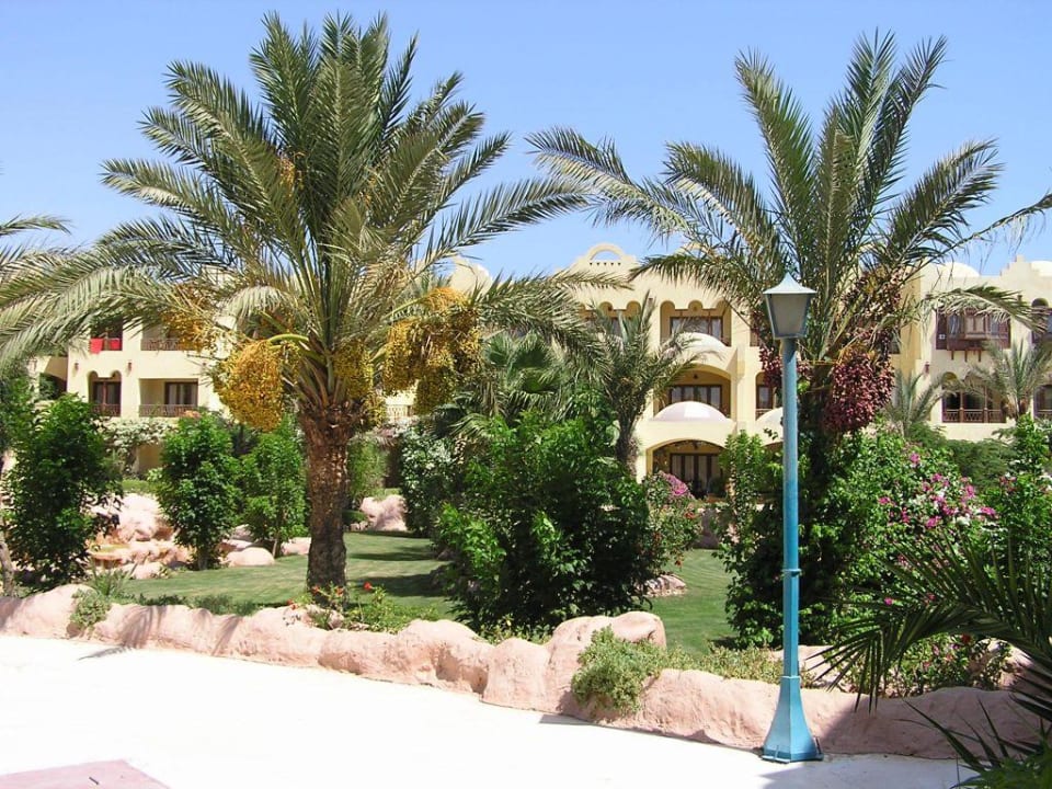 Piękny ogród przy hotelu Sunny Days Palma De Mirette Resort & Spa