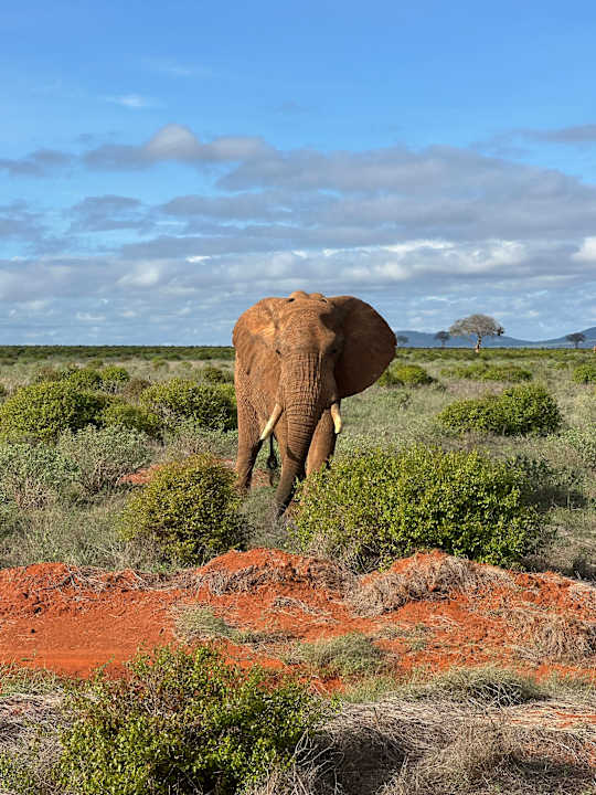 Sonstiges Hotel Diani Sea Lodge