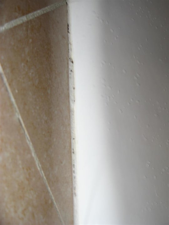 Schwarzschimmel Sandals Royal Bahamian