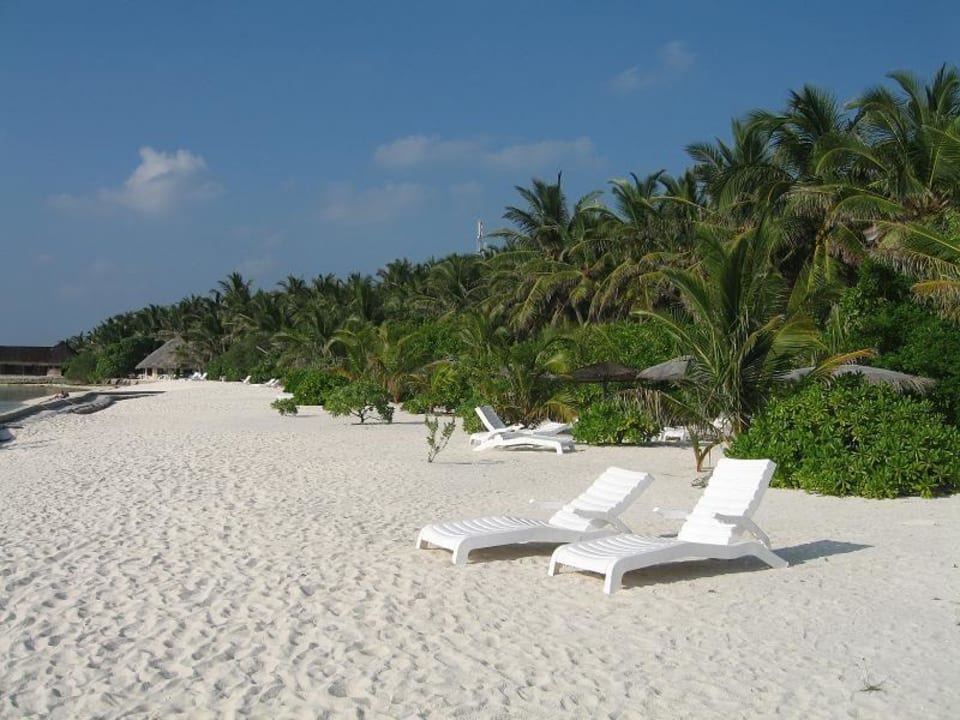 Strand  Summer Island Maldives