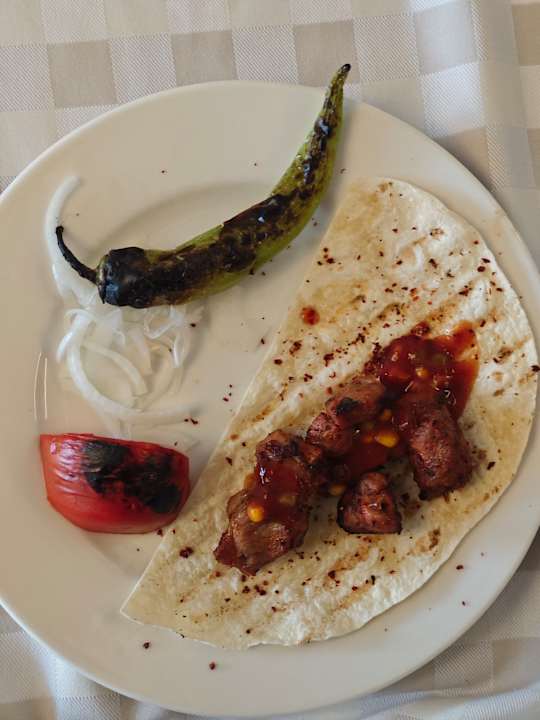 Gastro Seashell Vega