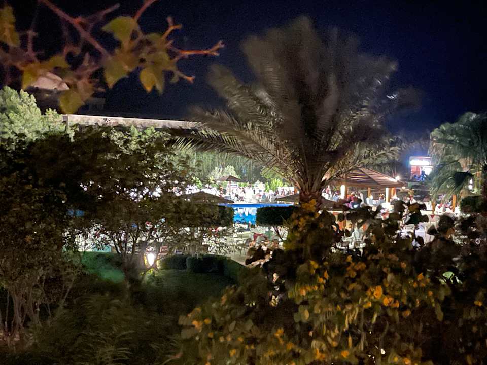 Gartenanlage Wadi Lahmy Azur Resort