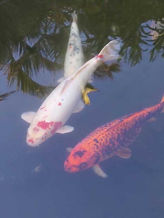 Sonstiges Hacienda San Jorge