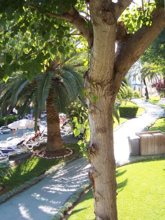 Blick auf die Anlage Alcudia Garden Aparthotel