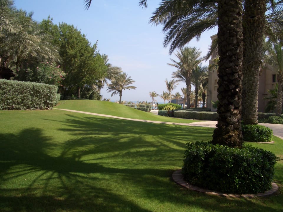 Sehr üppige Vegetation Jumeirah Dar Al Masyaf
