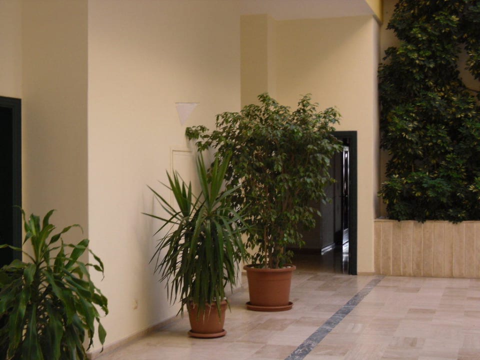 Flur zum Zimmer Hotel Miramare Beach