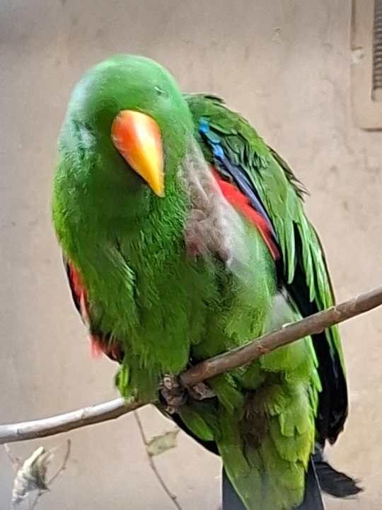 Sonstiges Ferienwohnungen Ferienpark Weissenhäuser Strand