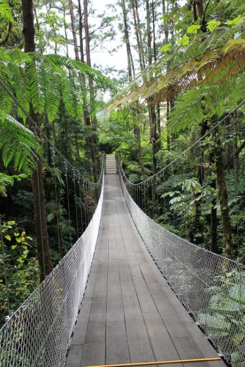 Hängebrücke Arenal Observatory Lodge & Spa