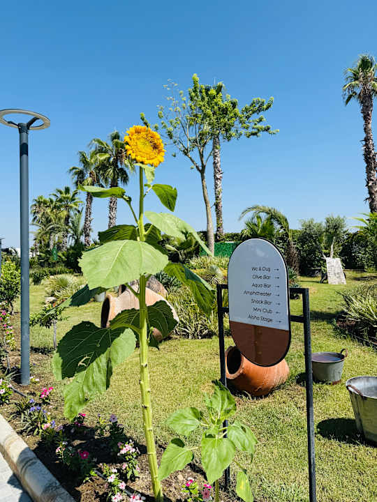 Gartenanlage Dream Fun World