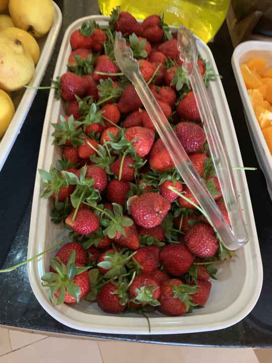 Gastro Sherwood Exclusive Kemer