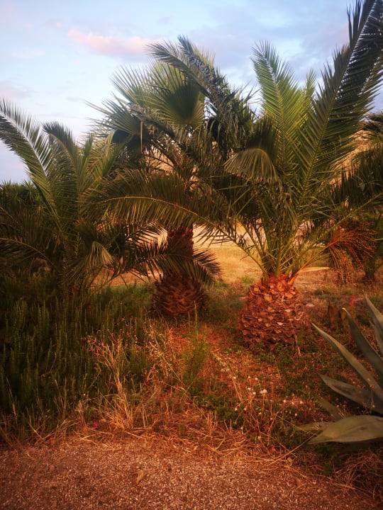 Gartenanlage Hotel Cortijo Los Malenos