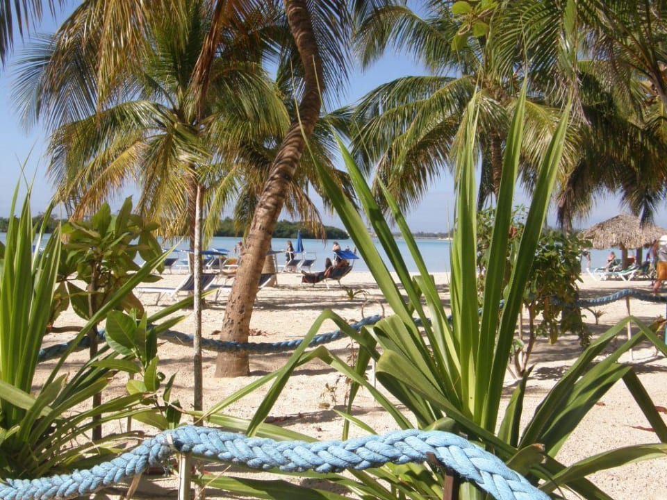 Strand whala!boca chica