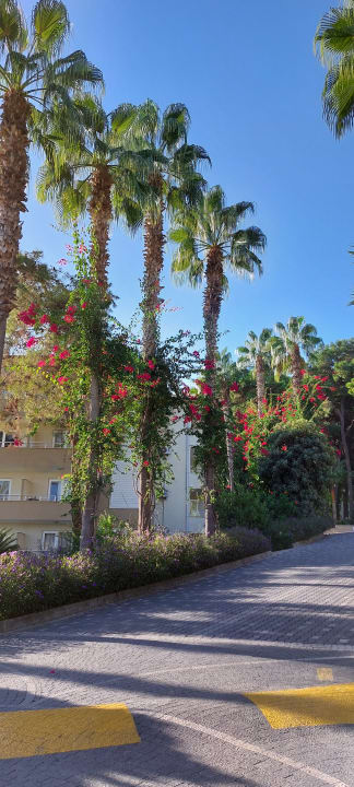 Gartenanlage Club Sidelya Hotel