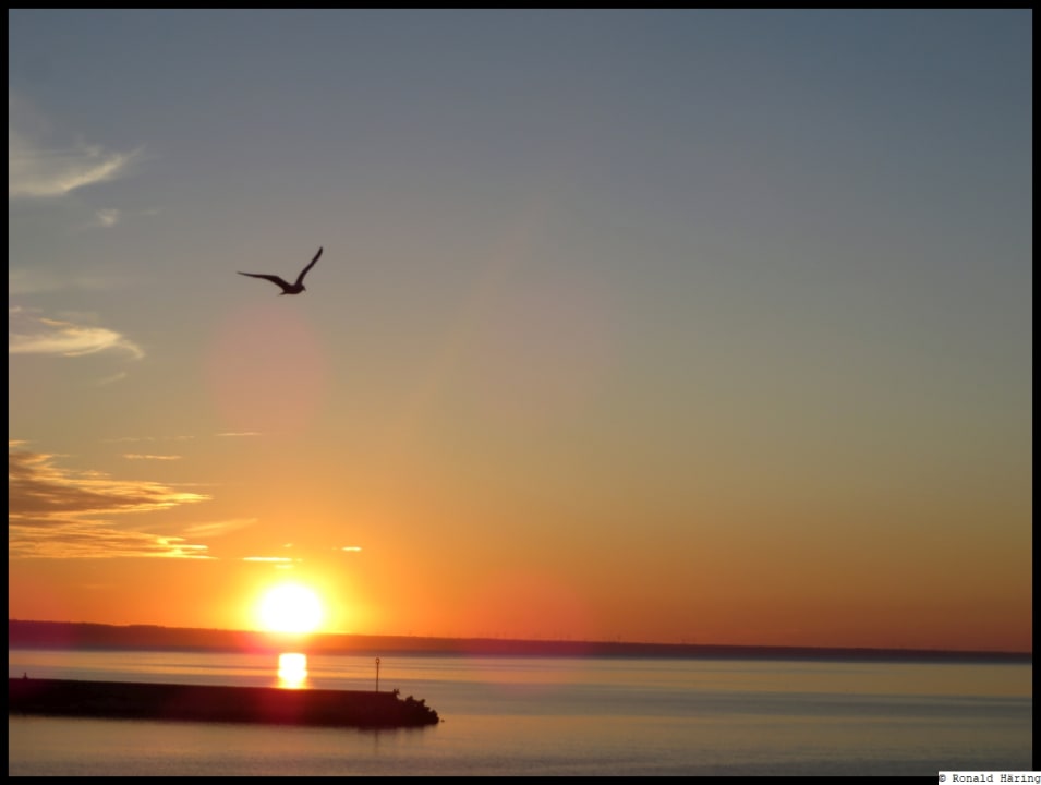 Ausblick Sentido Marea