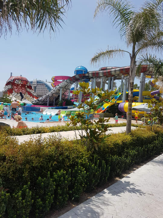 Sport & Freizeit Royal Seginus