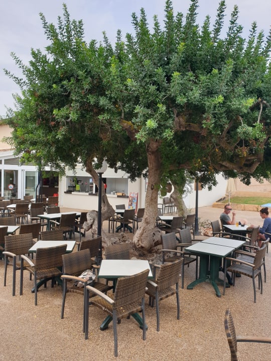 Gastro Club Simó Hotel by Senator