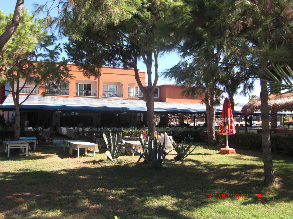 Restaurant Club Turtas Beach Hotel