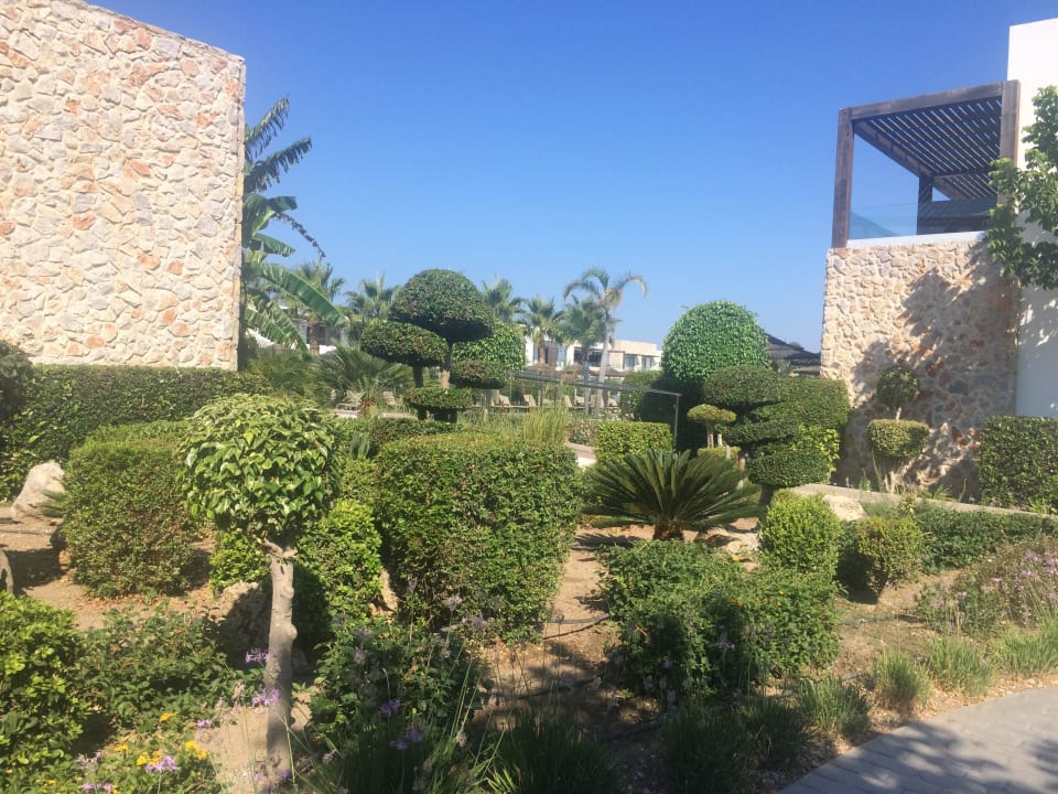 Schöner Garten! TUI BLUE Palazzo del Mare