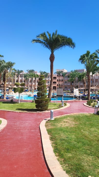 Pool Pickalbatros Palace Resort