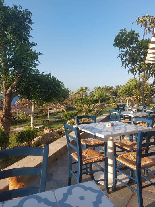 Gartenanlage Crystal Springs Beach Hotel