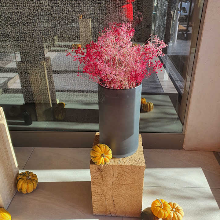 Sonstiges Hotel Terentnerhof