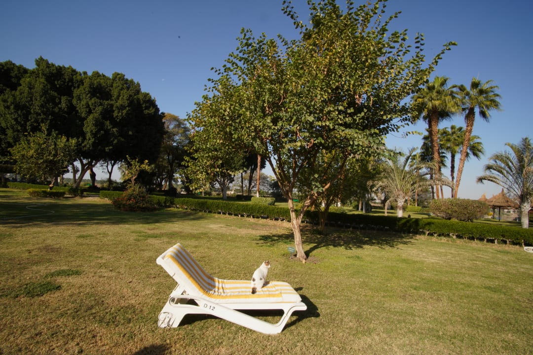 Außenansicht Jolie Ville Kings Island Luxor