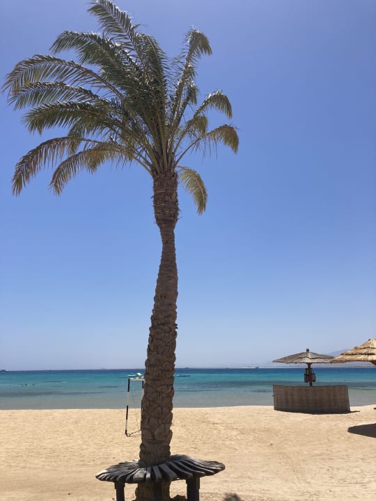 Strand ROBINSON SOMA BAY