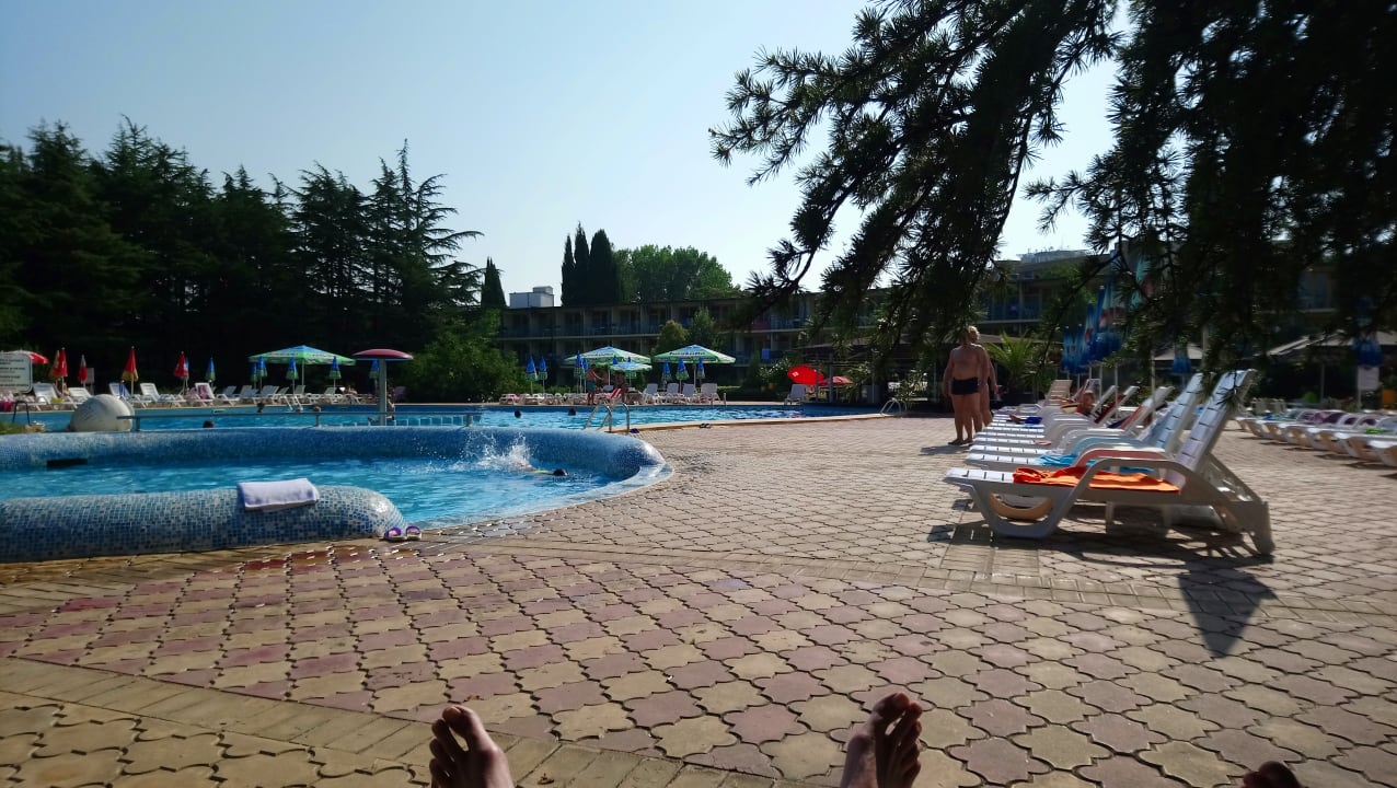 Pool Parkhotel Continental