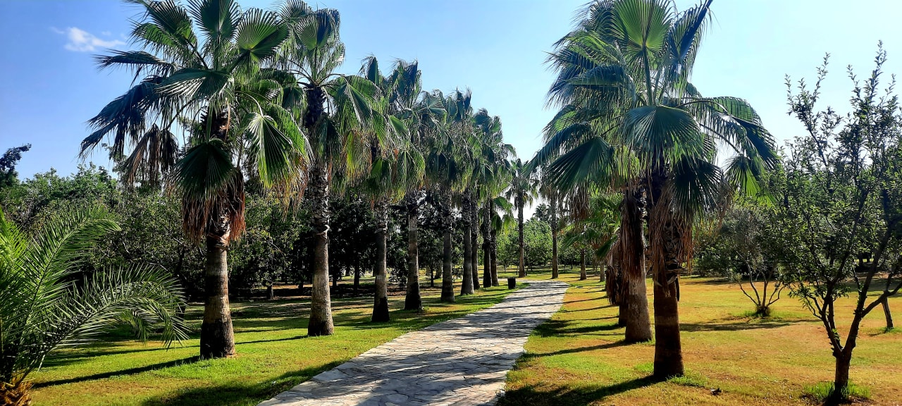 Gartenanlage Alba Resort Hotel