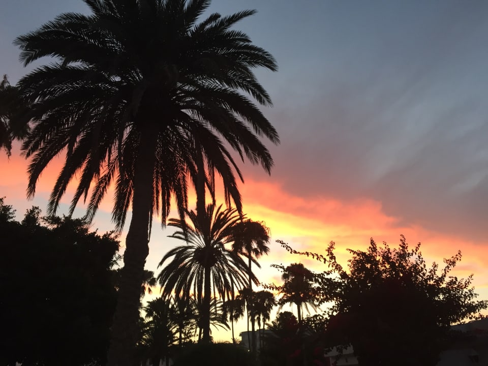 Sonstiges Sahara Beach Club