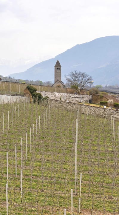 Ausblick Feldhof DolceVita Resort