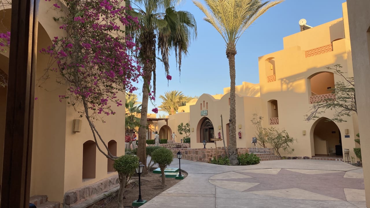 Garten Steigenberger Coraya Beach - Adults only