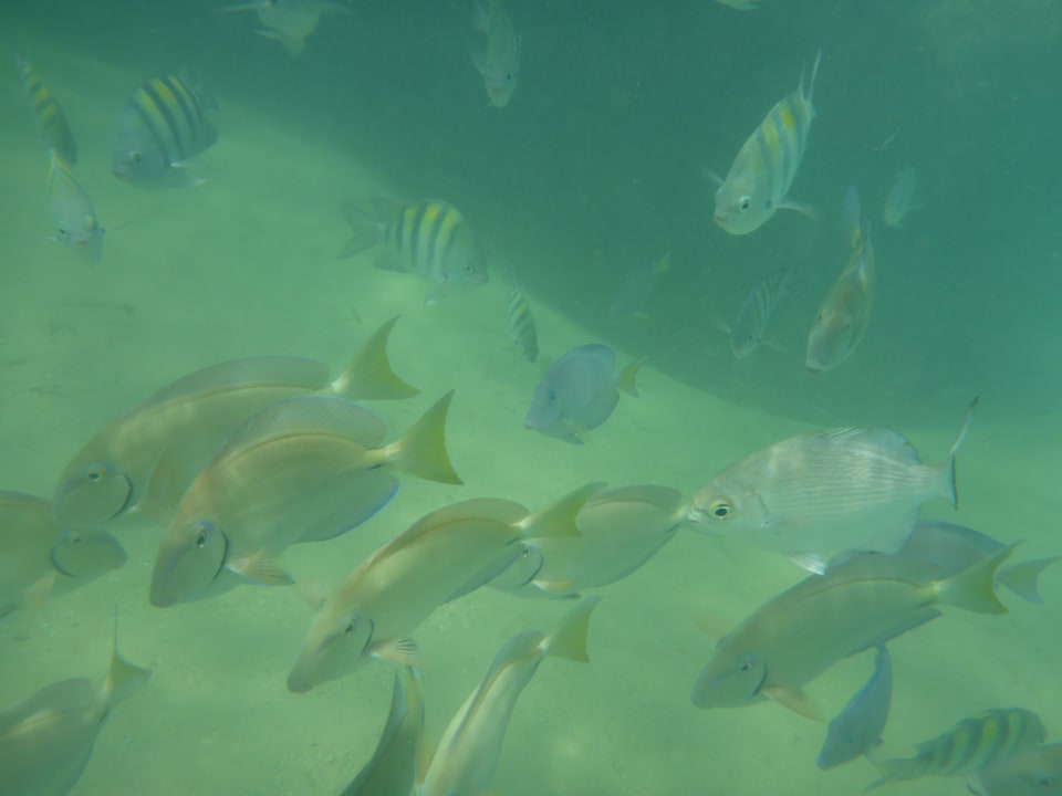 Strand Bahia Principe Grand El Portillo