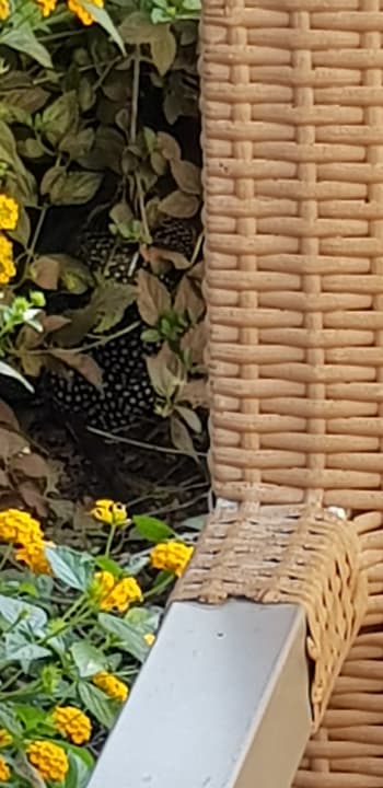 Sonstiges X Life Hotel Sarıgerme