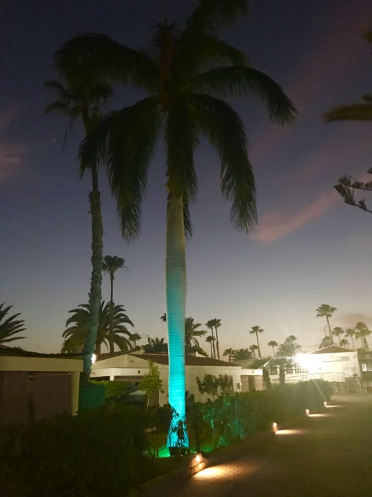 Garten Bungalows Las Vegas Golf