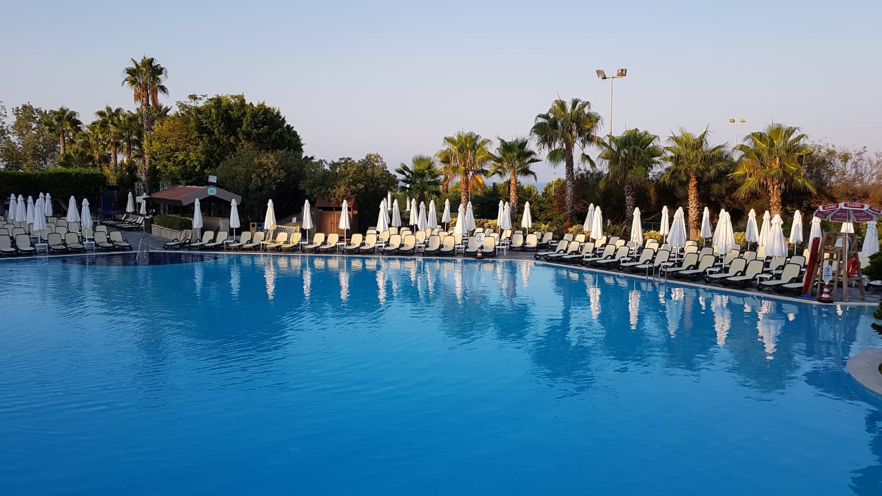 Pool Alba Resort Hotel