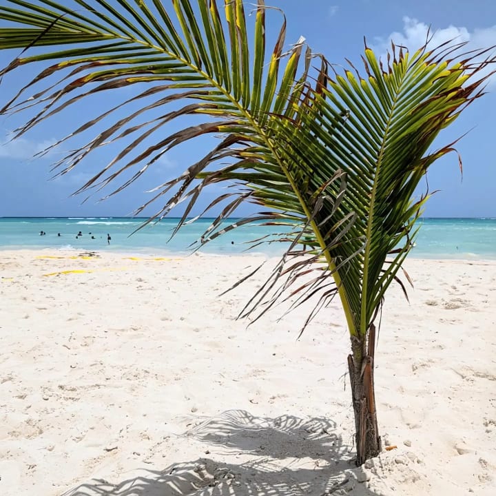 Strand Hotel Riu Palace Aquarelle