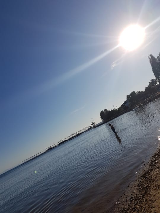 Strand Asteria Venus Didim