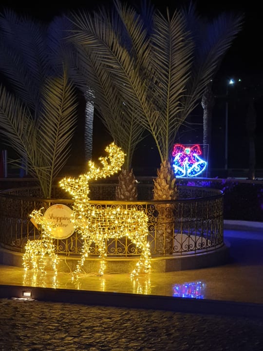 Sonstiges Pickalbatros Palace Resort
