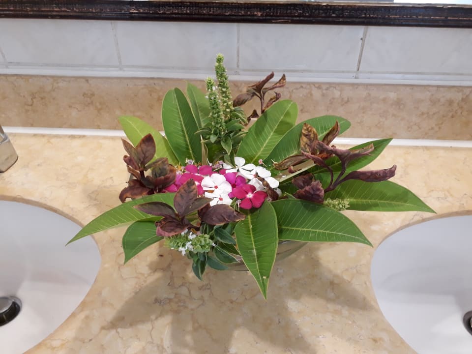 Sonstiges Jaz Makadi Oasis Resort