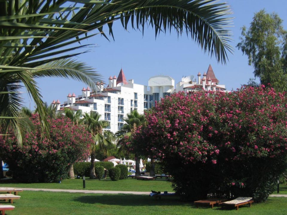Vue d'une partie du jardin Green Max Hotel
