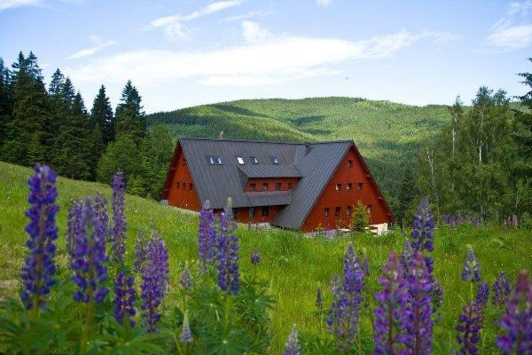 Hotel Alpina Hotel Alpina