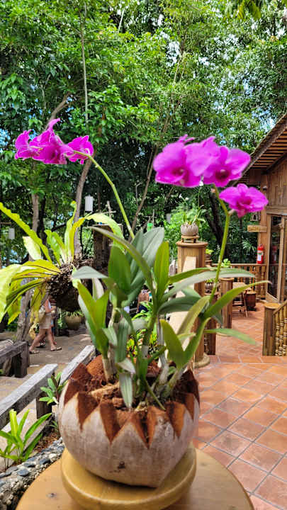 Ausblick Santhiya Koh Phangan Resort & Spa