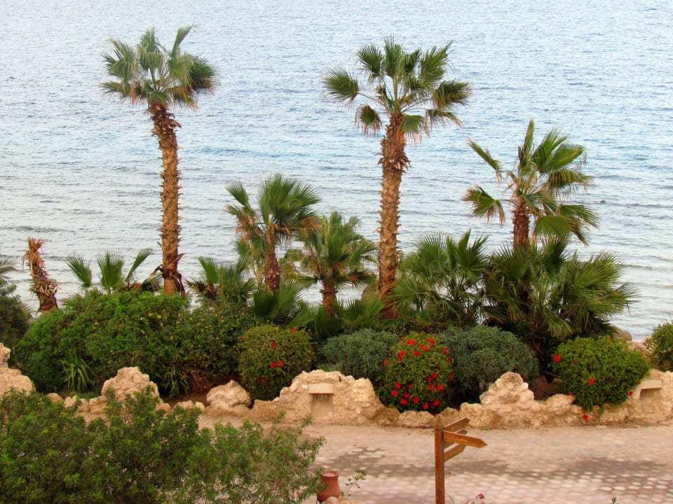 Am Strand Pickalbatros Citadel Resort