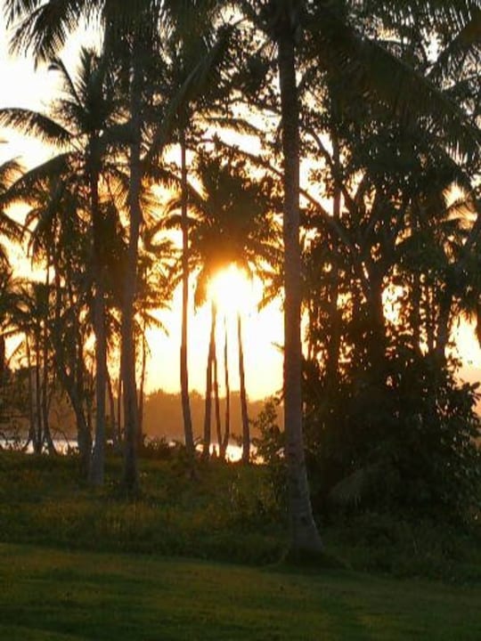 Gartenanlage Wyndham Alltra Samana