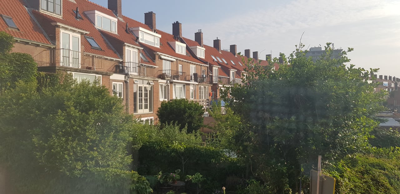 Ausblick Amsterdam Beach Hotel Zandvoort