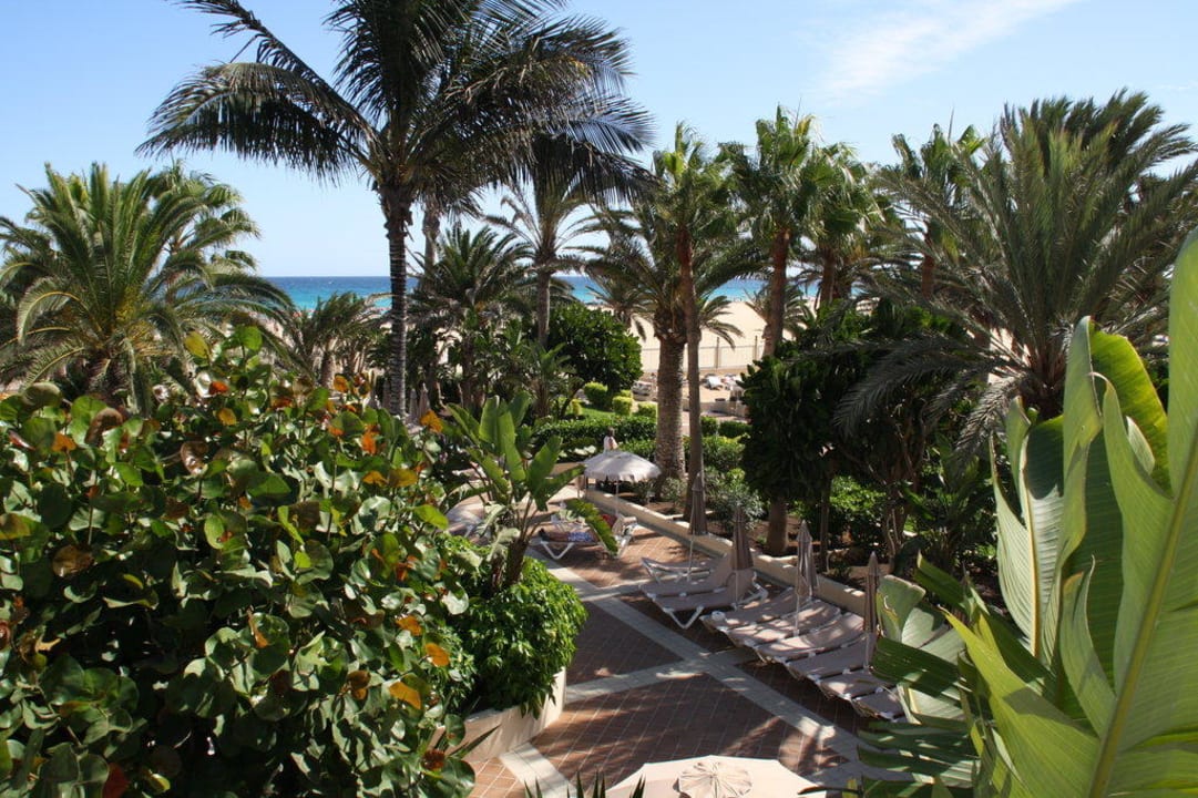 Palmenblick Hotel Riu Oliva Beach Resort